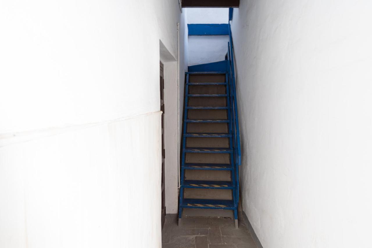 Apartment La Gitanilla Terrace Cadiz Dış mekan fotoğraf
